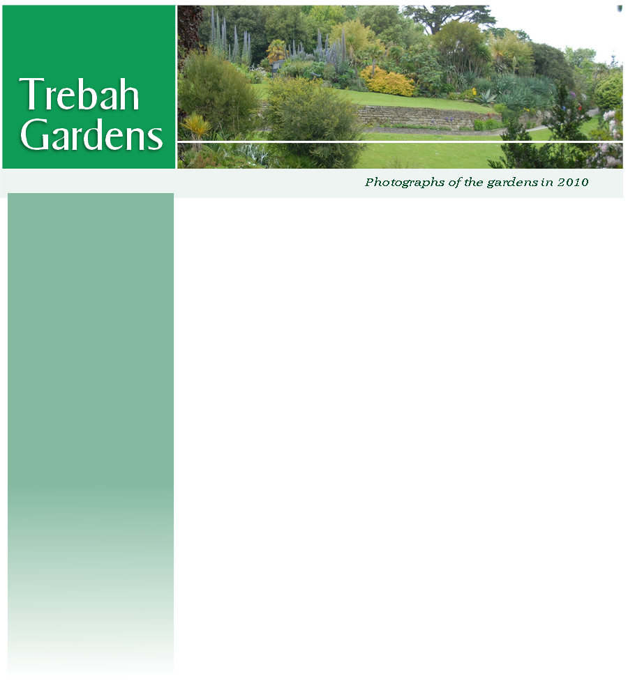Photographs of the gardens in 2010